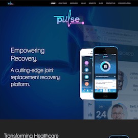 Pulse Platform Screenshot